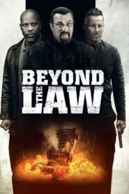 Beyond the Law 2019 on netflix