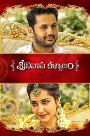 Srinivasa Kalyanam 2018 on netflix