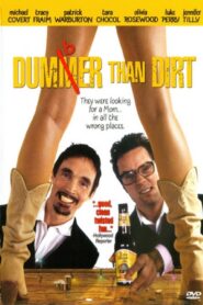 Dirt 2001 on netflix