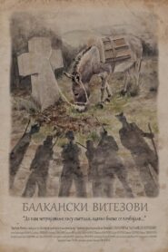 Balkan Knights 2011 on netflix
