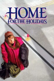 Home for the Holidays 1995 on netflix