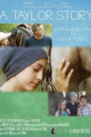 A Taylor Story 2016 on netflix