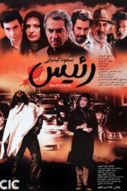 The Boss 2007 on netflix