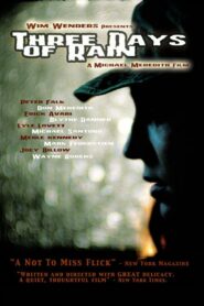 Three Days of Rain 2002 on netflix