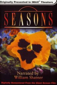 Seasons 1987 on netflix