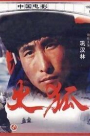 Sparkling Fox 1993 on netflix