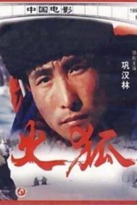 Sparkling Fox 1993 on netflix