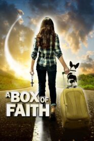 A Box of Faith 2015 on netflix