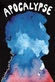 Apocalypse: A Bill Callahan Tour Film 2012 on netflix