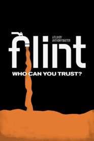 Flint 2020 on netflix