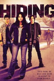 Hiding 2012 on netflix