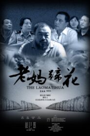 Disturbing the Peace 2009 on netflix
