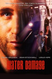 Water Damage 1999 on netflix