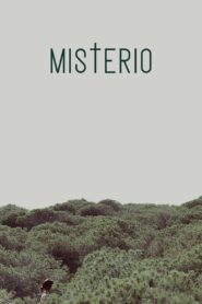 Misterio 2013 on netflix