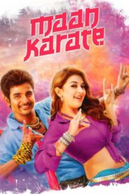 Maan Karate 2014 on netflix
