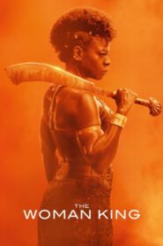 The Woman King 2022 on netflix