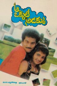 Aa Okkati Adakku 1992 on netflix