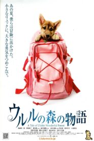 A Tale of Ululu’s Wonderful Forest 2009 on netflix