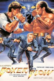 U.S. Catman 2: Boxer Blow 1989 on netflix
