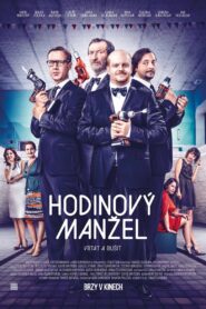 Husband to Rent 2014 on netflix