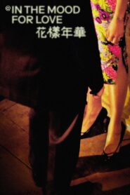 @ in the mood for love 2000 on netflix