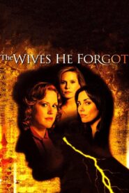 The Wives He Forgot 2006 on netflix