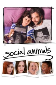 Social Animals 2018 on netflix