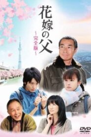 Father of the Bride 2012 on netflix