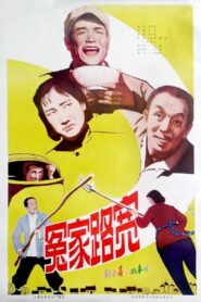 冤家路宽 1981 on netflix