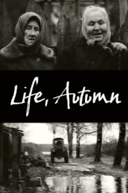 Life, Autumn 1999 on netflix