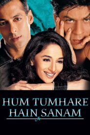 Hum Tumhare Hain Sanam 2002 on netflix