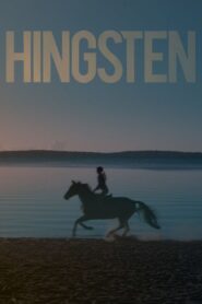 Stallion 2015 on netflix