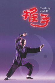 Pushing Hands 1991 on netflix