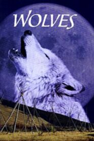 Wölfe 1999 on netflix