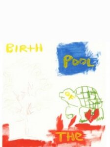 Birth of the Pool 2013 on netflix