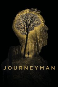Journeyman 2018 on netflix