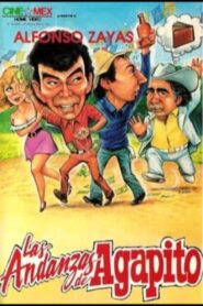 Las andanzas de Agapito 1991 on netflix