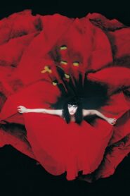 The Smashing Pumpkins: Live At Fox Theater (Live on August 4, 1998) 2014 on netflix