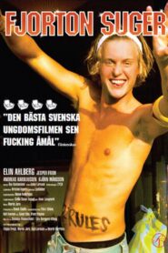 Fjorton suger 2004 on netflix