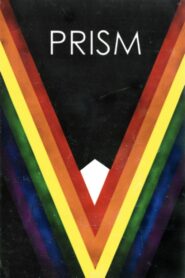 Prism 2017 on netflix