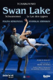 Swan Lake 2010 on netflix