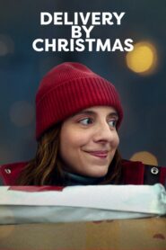 Delivery by Christmas 2022 on netflix