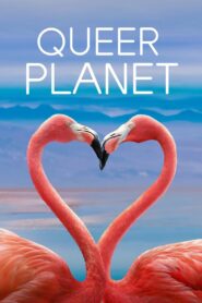Queer Planet 2023 on netflix