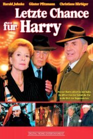Letzte Chance für Harry 1998 on netflix