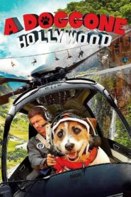 A Doggone Hollywood 2017 on netflix