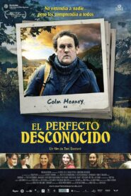 The Perfect Stranger 2011 on netflix