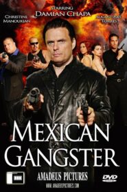 Mexican Gangster 2008 on netflix