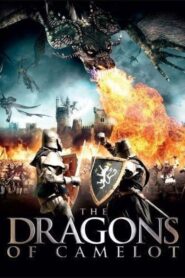 The Dragons of Camelot 2014 on netflix