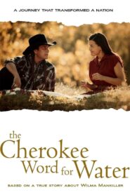 The Cherokee Word for Water 2013 on netflix