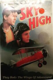Sky High 1990 on netflix